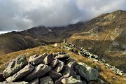 MONTE MINCUCCO (croce 1832 m - cima 2001 m) ad anello dal piano del Lago di Valmora il 17 ottobre 2019 - FOTOGALLERY